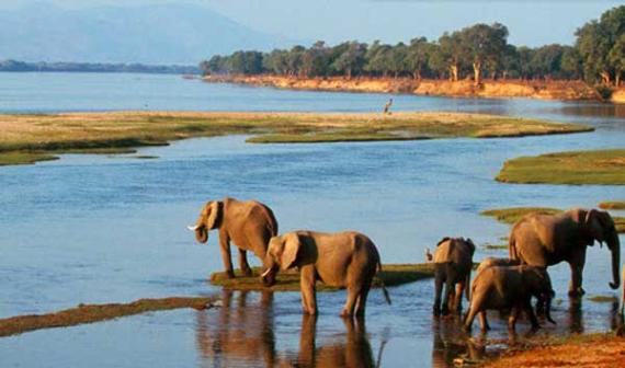 Mozambique - Zambezi-River-Valley